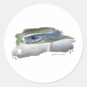Black Mamba Classic Round Sticker
