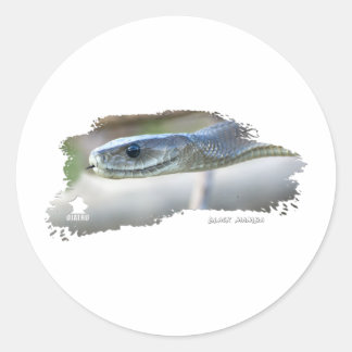 Black Mamba Classic Round Sticker
