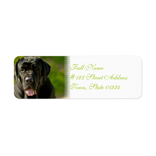 Black Mastiff Mailing Labels (Front)