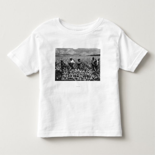Black Men picking Pineapple at harvest - Toddler T-Shirt (Front)