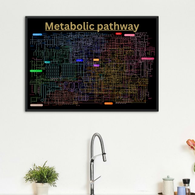 Black Metabolic pathway of the cell  Poster (Creator Uploaded)