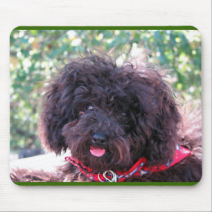 Black Miniature Poodle - JoJo Mouse Pad