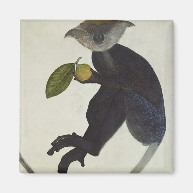 Black Monkey Magnet (Front)