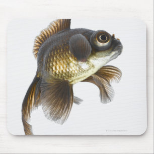 Black moor goldfish (Carassius auratus) 2 Mouse Pad