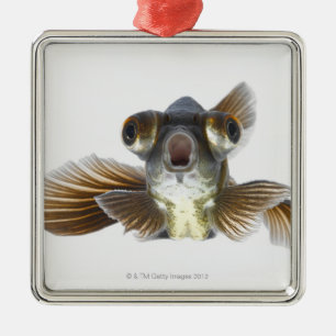 Black moor goldfish (Carassius auratus) Metal Tree Decoration