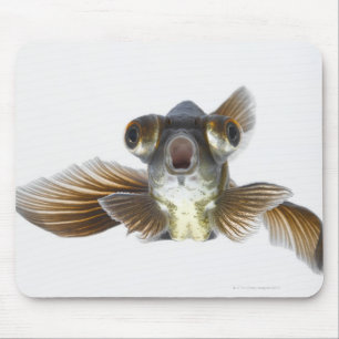 Black moor goldfish (Carassius auratus) Mouse Pad