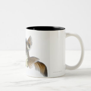 Black moor goldfish (Carassius auratus) Two-Tone Coffee Mug