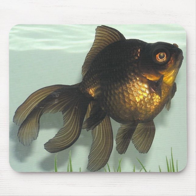 Black-moor Goldfish Mouse Pad (Front)