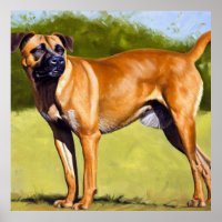 Black Mouth Cur Dog 