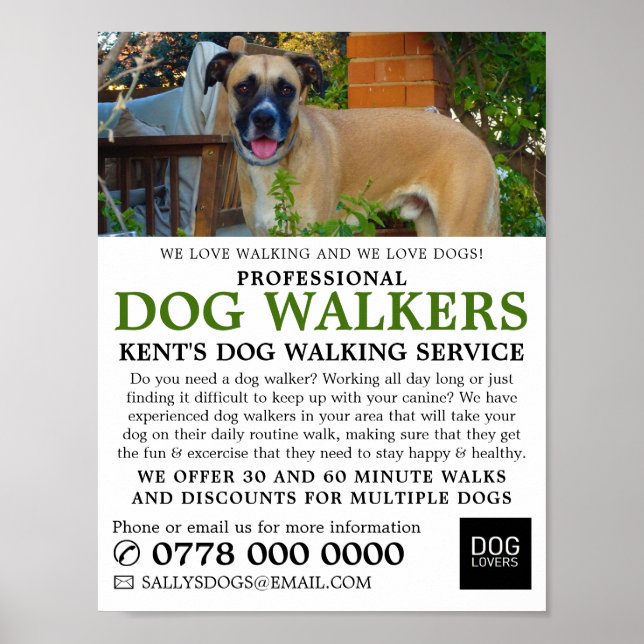 Black Mouth Cur, Dog Walker Service Advertising Poster (Front)
