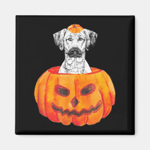 Black Mouth Cur Pumpkin Dog Halloween Magnet