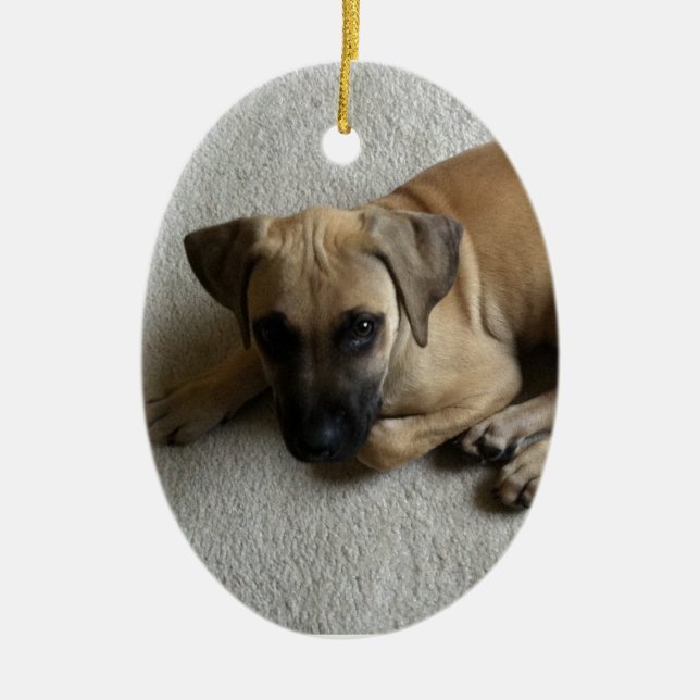 Black-mouth cur puppy with blue toy ceramic ornament (Front)