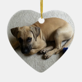 Black-mouth cur puppy with blue toy ceramic ornament