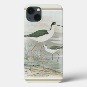 Black-Necked Stilts by the Water iPhone 13 Case