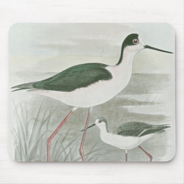 Black-Necked Stilts by the Water Mouse Pad (Front)