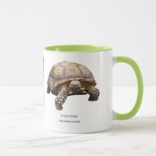 Black-necked turtle mug