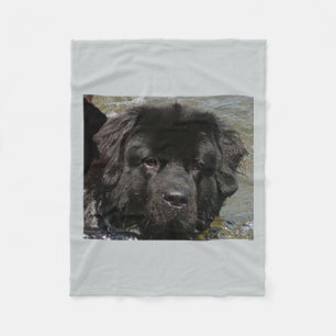 black newfie.png fleece blanket
