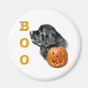 Black Newfoundland Boo - Magnet