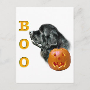 Black Newfoundland Boo Postcard