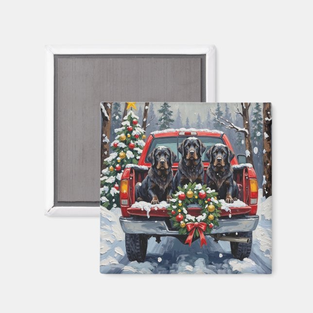 Black Newfoundland Christmas Red Truck Holiday Magnet (Front/Back)