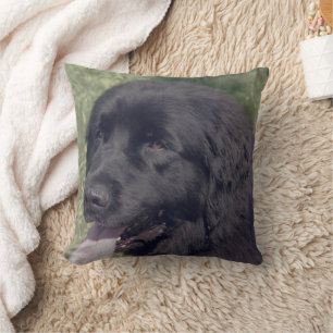 Black Newfoundland Dog Face Cushion