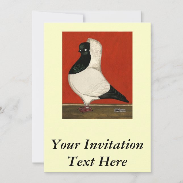 Black Nun Pigeon Invitation (Front)