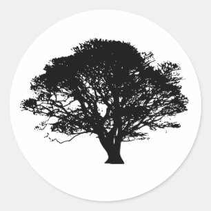 Black Oak Tree Gothic Fine Art Drawing Classic Round Sticker