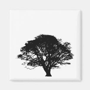 Black Oak Tree Gothic Fine Art Drawing Magnet