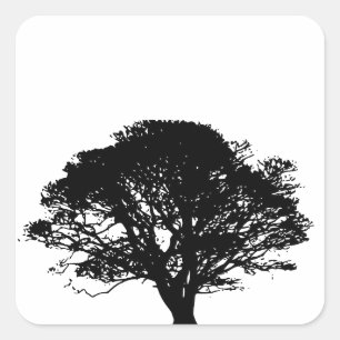 Black Oak Tree Gothic Fine Art Drawing Square Sticker