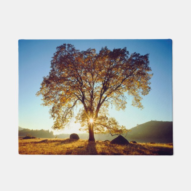 Black Oak Trees | Cleveland National Forest, CA Doormat (Front)
