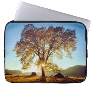 Black Oak Trees Cleveland National Forest, CA Laptop Sleeve