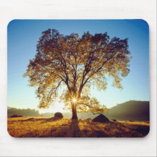 Black Oak Trees Cleveland National Forest, CA Mouse Pad