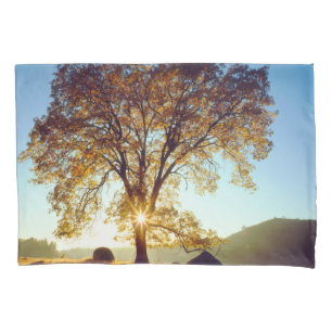 Black Oak Trees   Cleveland National Forest, CA Pillowcase