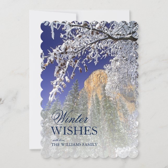 Black Oak Trees in Snow at Yosemite (Front)