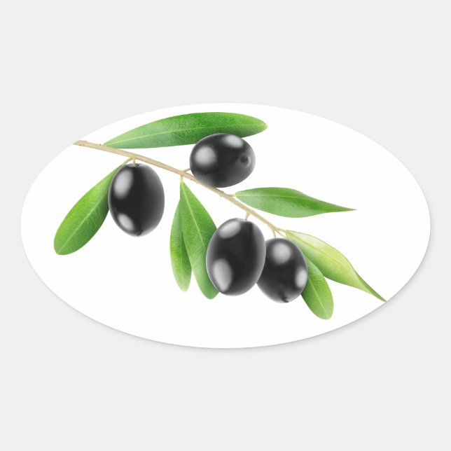 Black olives on a branch oval sticker (Front)