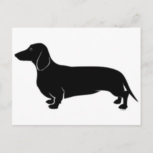Black on White Dachsund Postcard