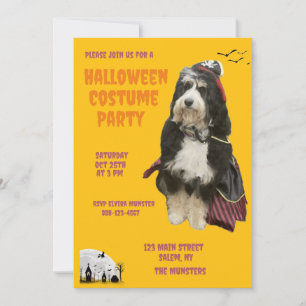  Black & Orange Dog in Pirate Costume Party Invitation
