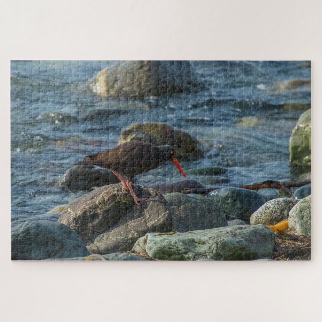 Black Oyster Catcher Jigsaw Puzzle (Horizontal)