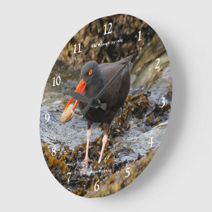 Black Oystercatcher Shorebird Fishing at the Beach Large Clock