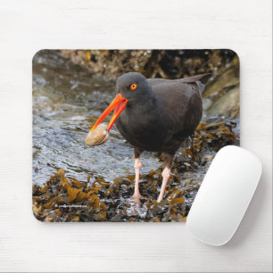 Black Oystercatcher Shorebird Fishing at the Beach Mouse Pad