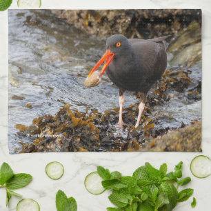 Black Oystercatcher Shorebird Fishing at the Beach Tea Towel