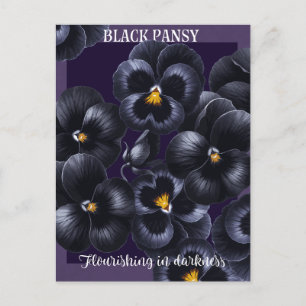 Black Pansy Dark Flowers Affirmation Postcard