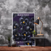 Black Pansy Dark Flowers Affirmation