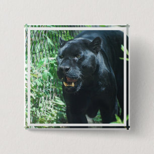 Black Panther Cat Button
