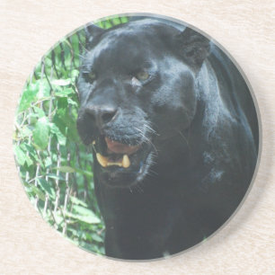 Black Panther Cat Coaster