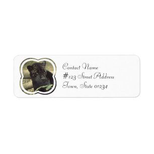 Black Panther Cat Mailing Label Return Address Label