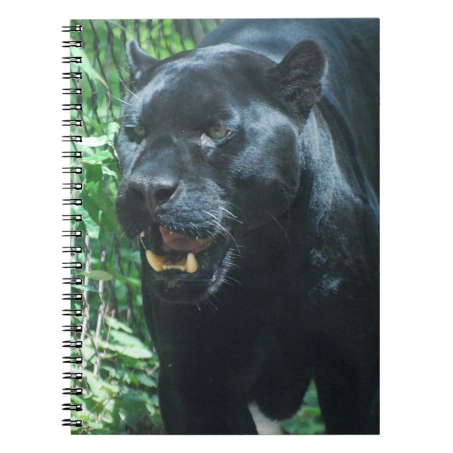 Black Panther Cat Notebook (Front)