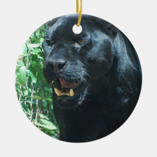 Black Panther Cat Ornament (Front)
