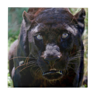 Black Panther Ceramic Tile