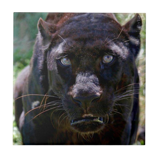 Black Panther Ceramic Tile (Front)